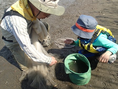 荒川生きもの調査隊！1