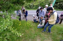 ５月９日　春は植物で楽しもう♪