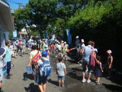 一之江境川親水公園自然観察会