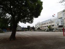 中小岩小学校3年生出前授業　生きものさがし