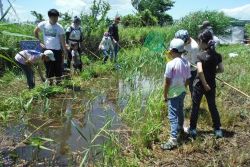 荒川中土手でザリガニ釣りと自然遊び